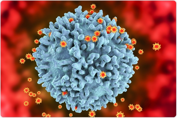 HIV virus attacking T cells HIV virus attacking T cells