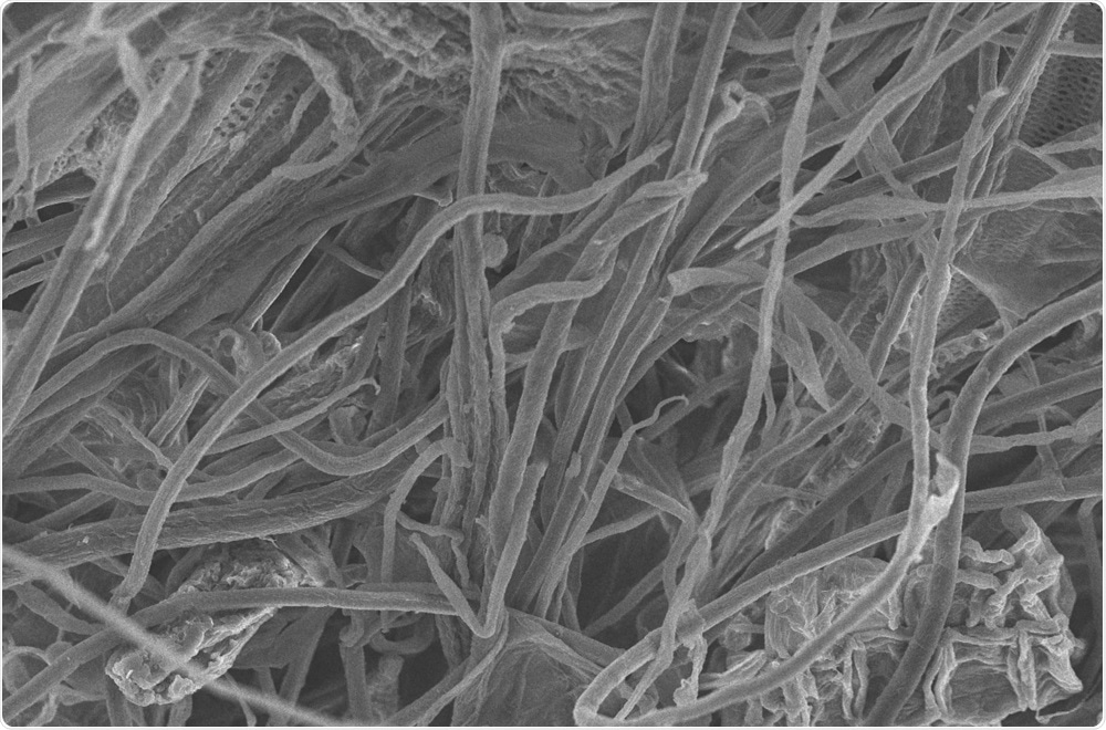 Cellulose Fibers Cellulose Fibers