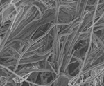 Breaking Down Stubborn Cellulose In Time Lapse