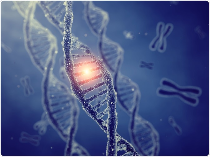 DNA with Chromosomes DNA with Chromosomes