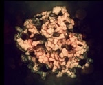 Nanostimulators Boost Stem Cells For Muscle Repair