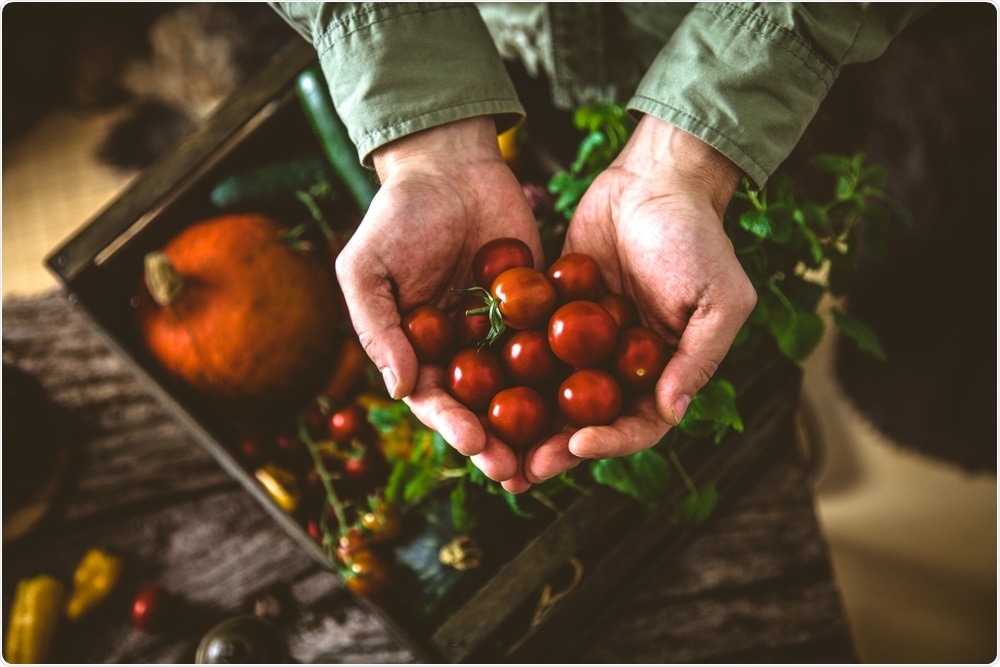 Organic Vegetables Organic Vegetables