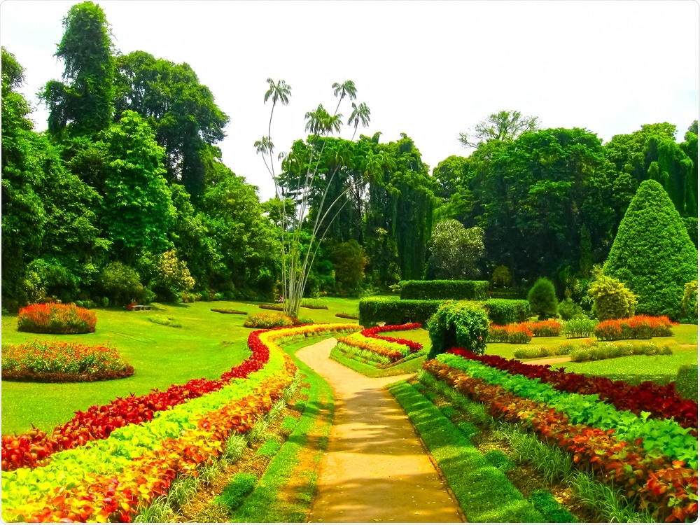 Botanical Garden Botanical Garden