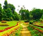 Study Helps Arboreta, Botanical Gardens Meet Genetic Diversity Conservation Goals