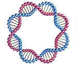 Scientists Develop Tool To Sequence Circular DNA