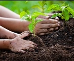 Gene mutation regulates plant responses to biotic stress