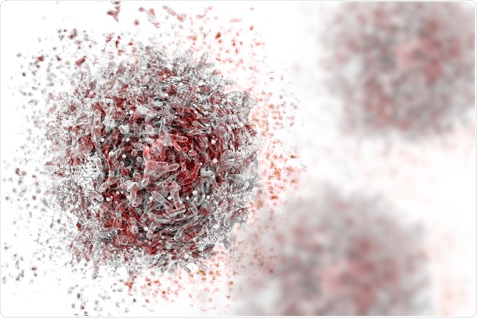 MicroRNA MicroRNA