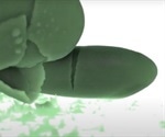 Dynamic CT Imaging and the Laboratory Opportunities it Provides