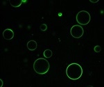 Newly designed vesicles can help deliver drugs