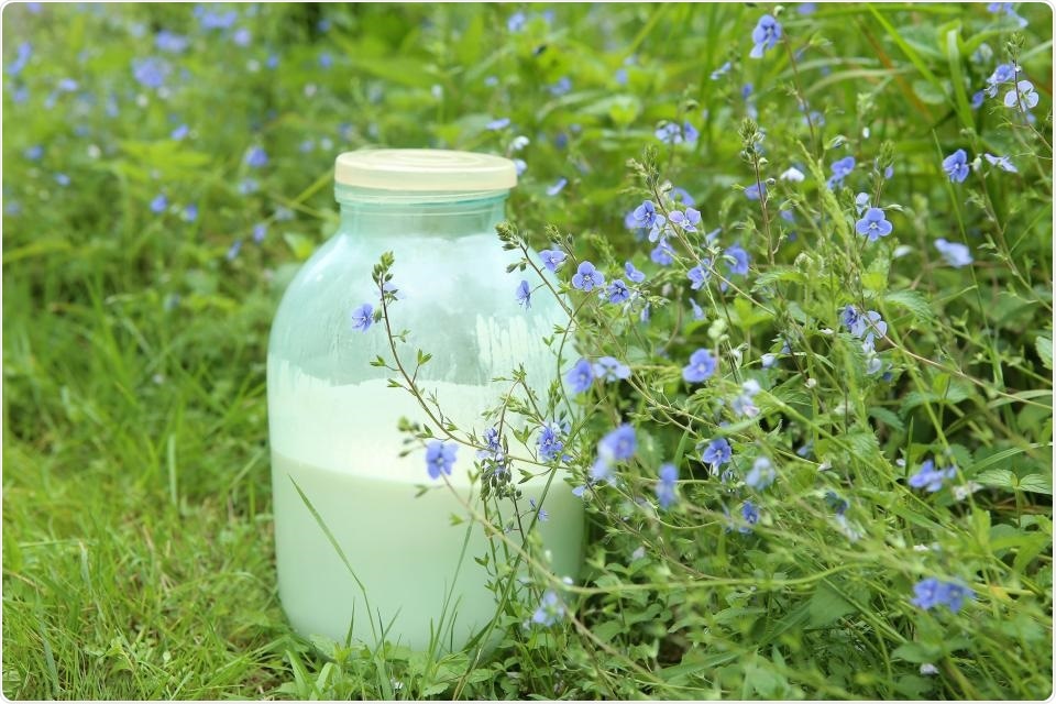 Study shows raw milk harbors antimicrobial-resistant genes