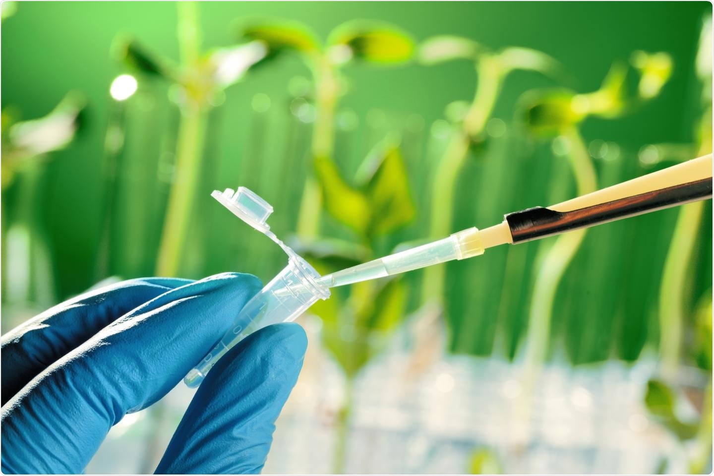 Chiral ligands can help develop novel drugs and bioactive compounds
