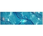 Lesion segregation can drive complex patterns of mutations in tumor genomes