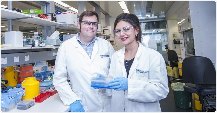 Structural map reveals changes in SMCHD1 protein linked to degenerative conditions