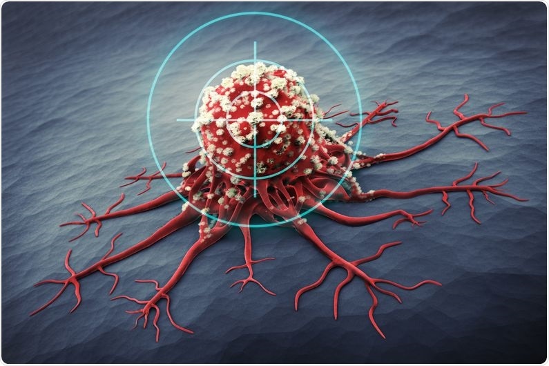 Advanced microscopy techniques help visualize telomerase in living cells