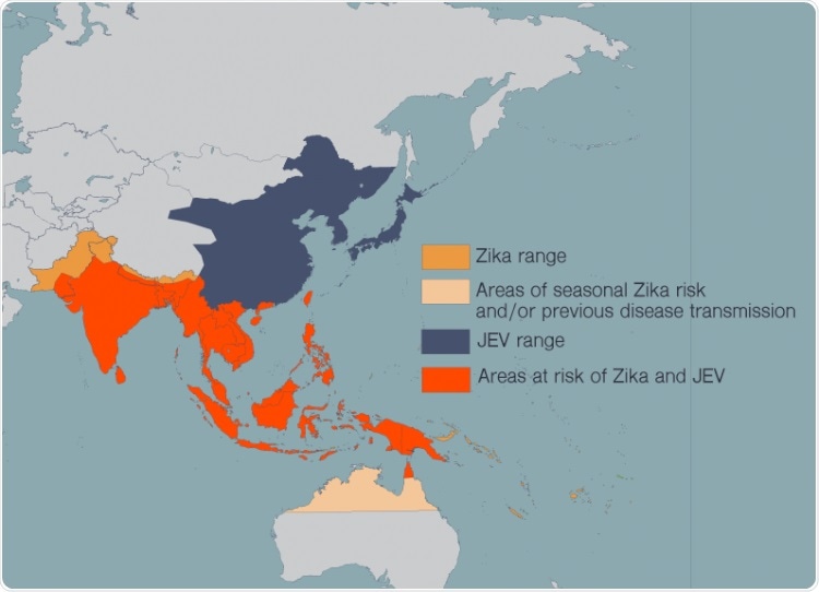 CD8+ T cells can help develop vaccines against Japanese encephalitis, Zika fever