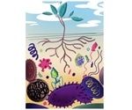 Study calls for more research on bacteriophages involved in plant health