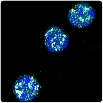 Intron detention is integral to post-transcriptional regulation mechanism