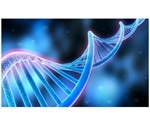 Single-cell sequencing can reveal genetic diversity of cancer cells