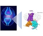 New protein design could help in drug discovery for Parkinson’s disease