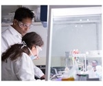 Chemically engineered peptides show promise to block viruses