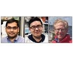 Study demonstrates the role of p53 gene in cell cycle regulation and apoptosis