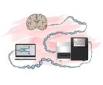 Researchers identify genes involved in the development of malignant brain tumor