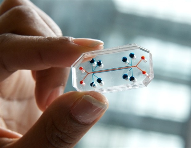 What is Body-on-a-Chip Technology?