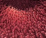Gut-brain connection may help treat neurological diseases