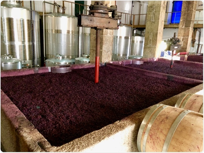Wine Fermentation Tank Wine Fermentation Tank
