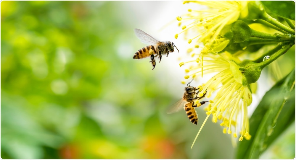 Insect Pollinators Insect Pollinators