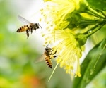 Agroforestry Is 'Win Win' For Bees And Crops