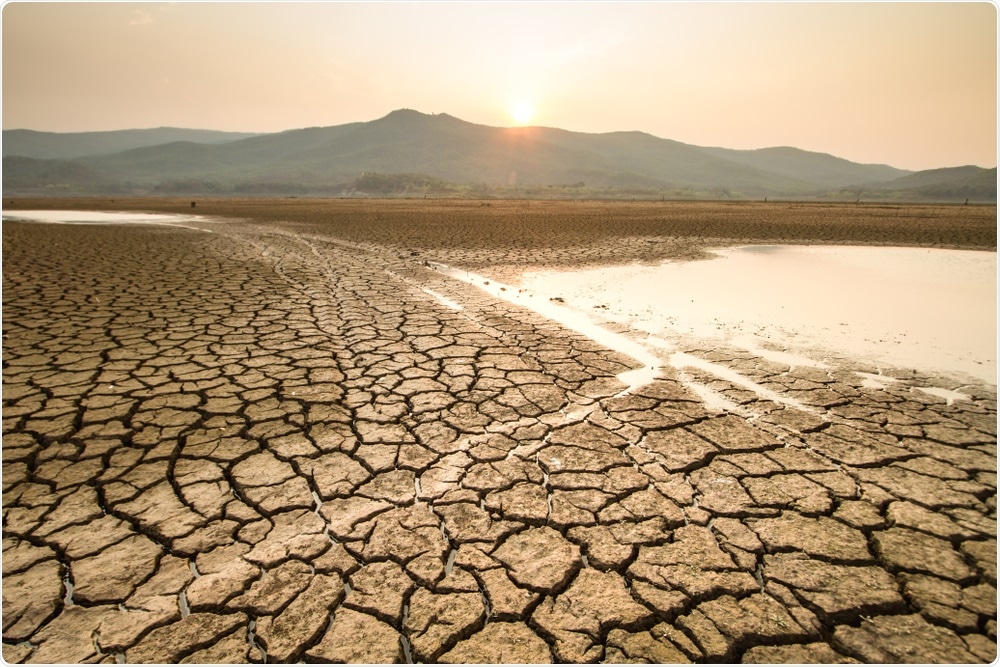 Drought Soil Drought Soil