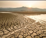 Carbon Cycling In Wet Soils