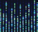 New model decodes relationship between metabolic mechanisms and genes