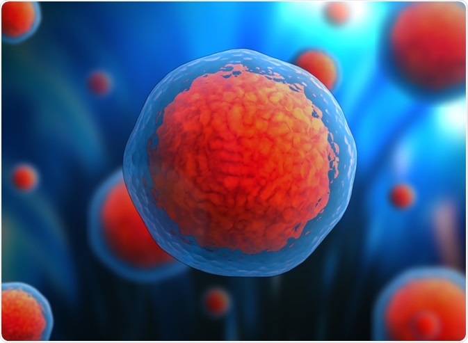 Stem Cells Stem Cells