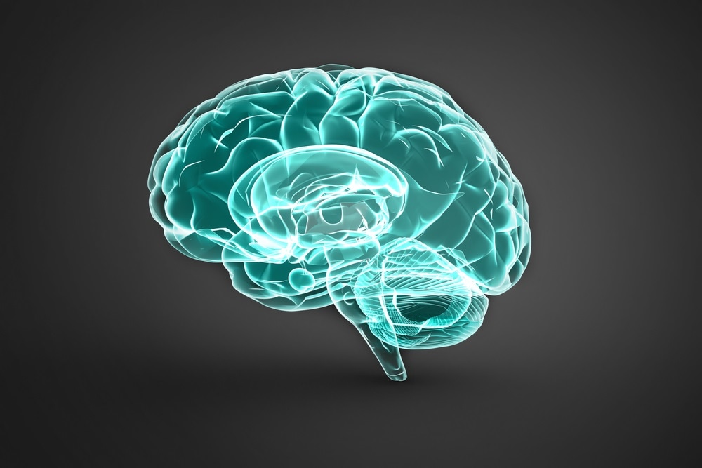 brain