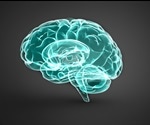 Study shows promise for treating developmental and epileptic brain disease