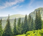 Climate extremes will cause forest changes