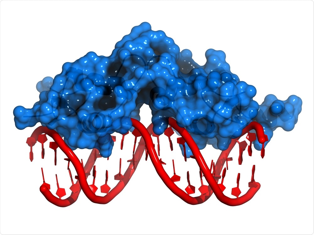 DNA binding protein DNA binding protein