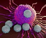 'Relaxed' T Cells are Critical To Immune Response