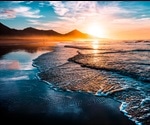 Artificial Night Sky Poses Serious Threat To Coastal Species