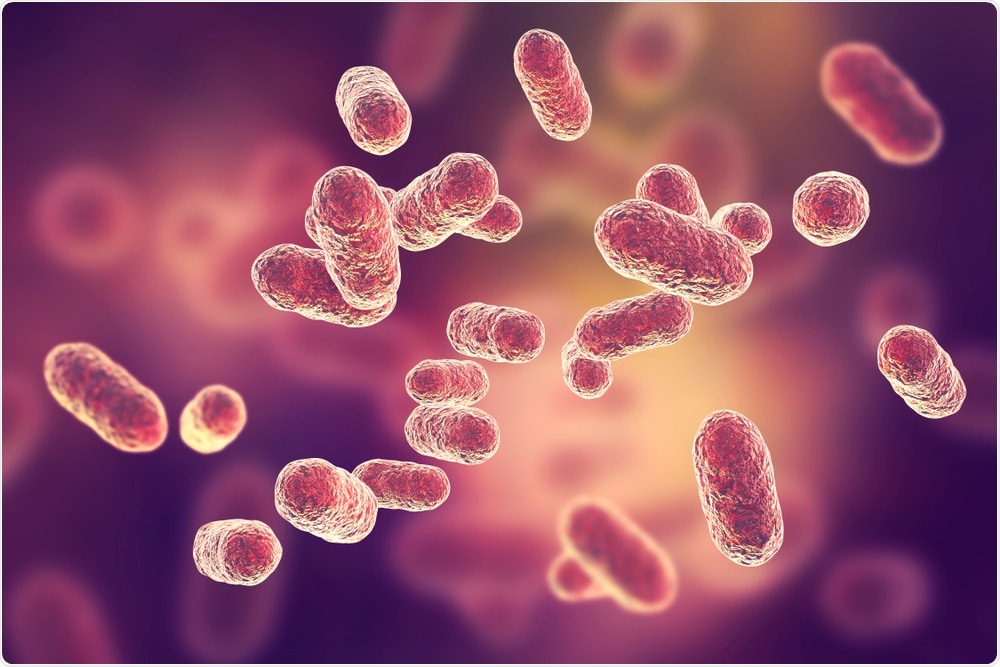 Bacteria Bacteria