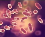 Function-Based Sequencing Technique Permits Analysis Of Just A Single Bacteria Cell