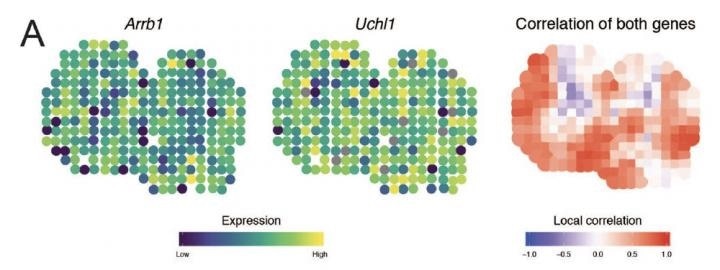 Novel approach to analyze organ development from gene analysis in single cells