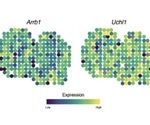 Novel approach to analyze organ development through gene analysis in single cells