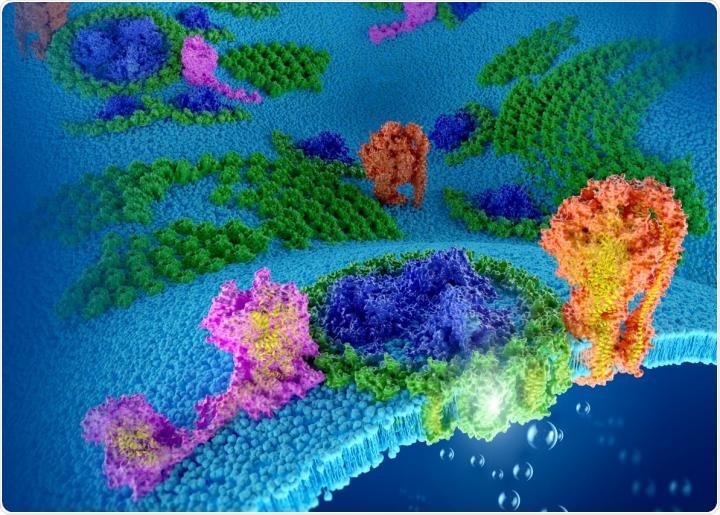 New study could help develop artificial photosynthetic technology for energy production