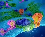 New study could help develop artificial photosynthetic technology for energy production