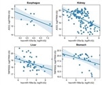 New methods to regulate enzymes involved in SARS-CoV-2 virus infection