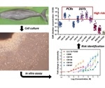 Environmental pollutants pose risks to finless porpoises