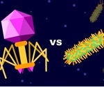 Study explains the compatibility of bacteria and virus in the human gut